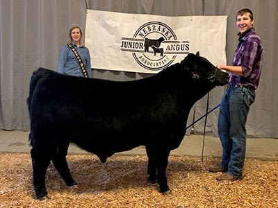Reserve Champion Bull shown by Mathias Schulte, Kearney